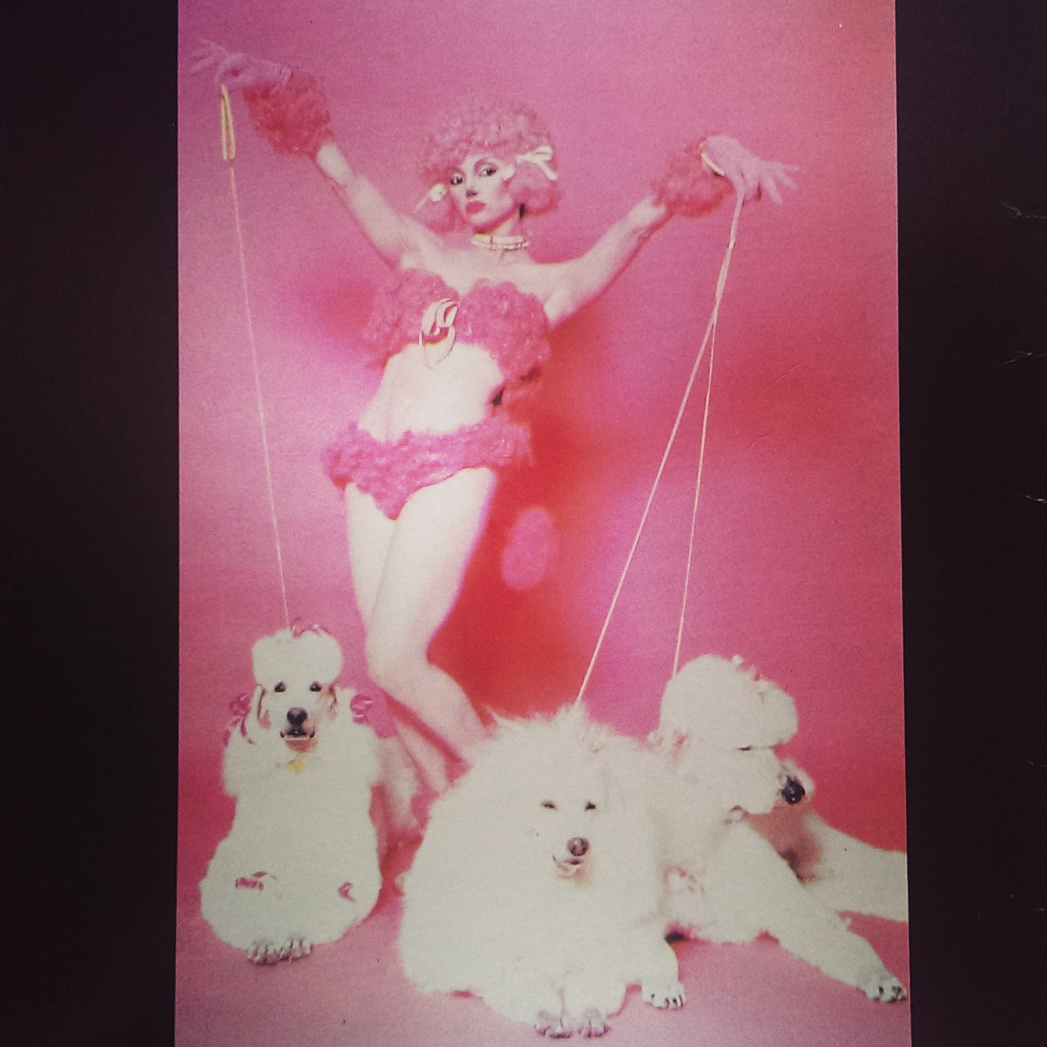 Toni Basil takes her dogs for a walk